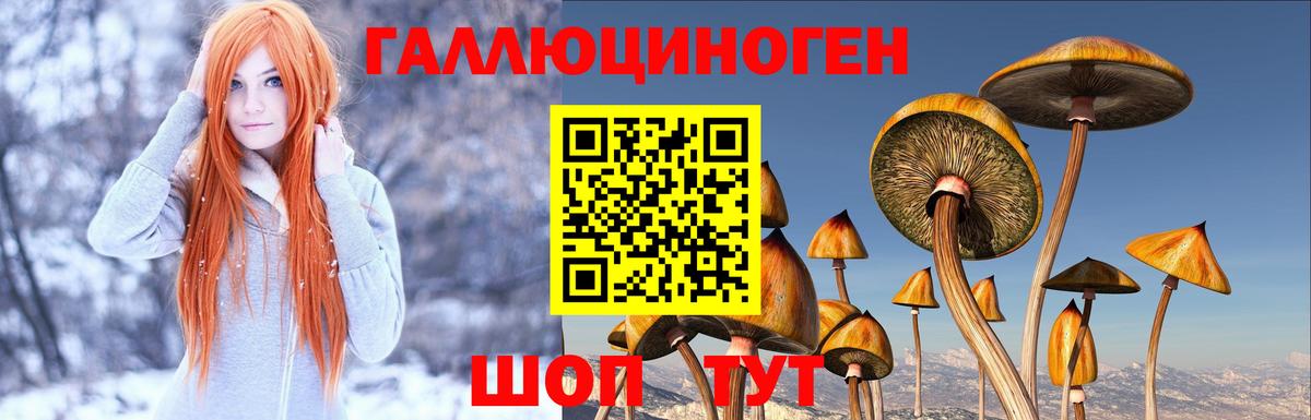 Псилоцибиновые грибы мухоморы Лесосибирск
